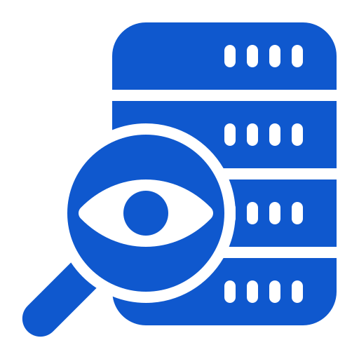 Data Audit & Cleansing